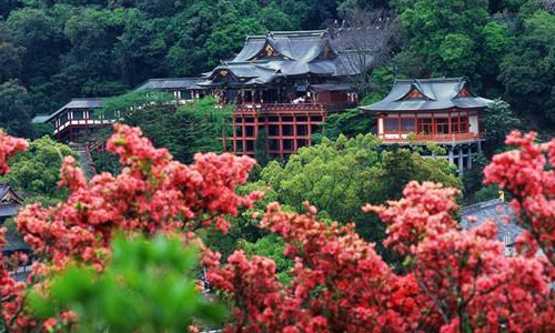 佐賀大學(xué)怎么樣